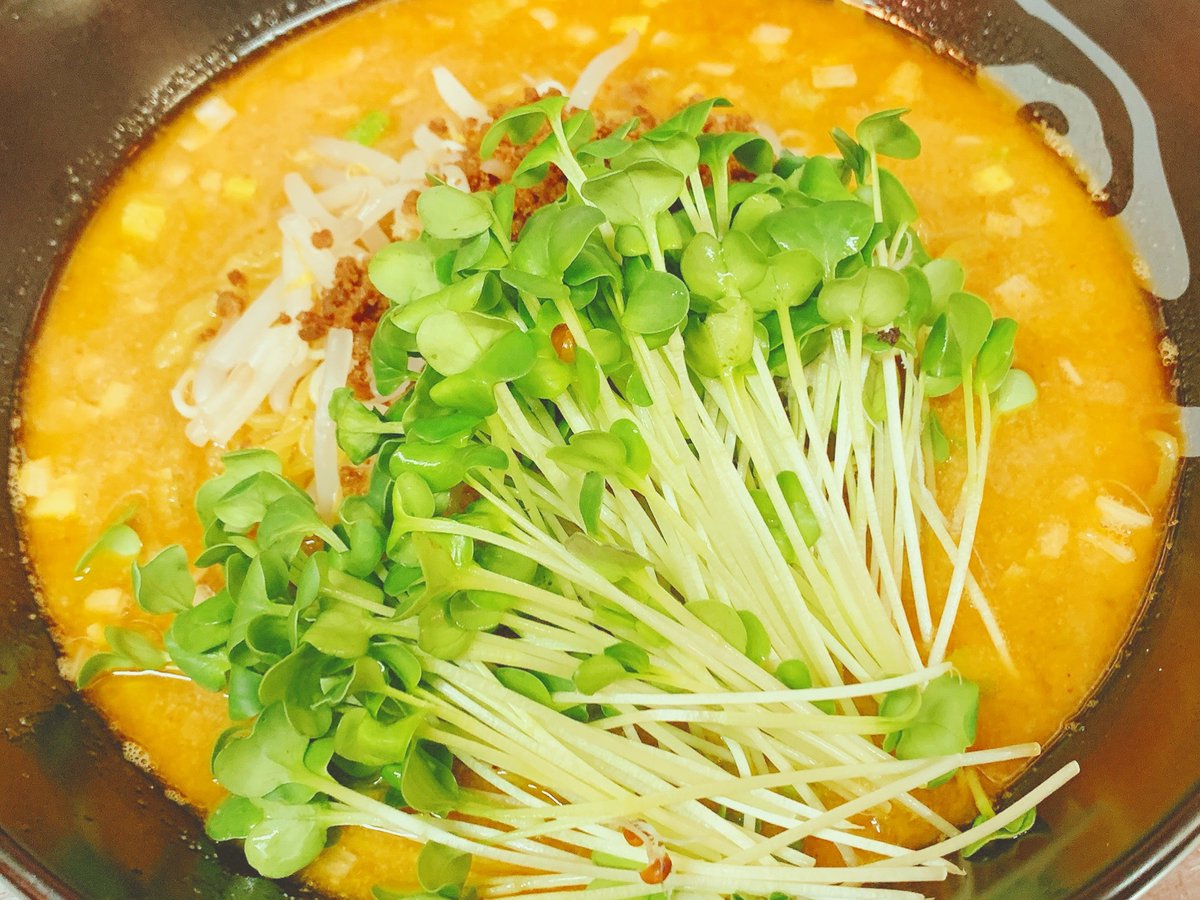 ramenkamiya's tweet photo. 担々麺🍜🌶️🔥カイワレ多めトッピングです☺️☘️✨ネギ多めトッピングよりぬるくなりにくいです😉💡✨
#らーめんかみ屋　#かみ屋
#岐阜らーめん　#岐阜ラーメン
#岐阜市らーめん　#岐阜市ラーメン
#岐阜市グルメ　#岐阜観光
#長良川鵜飼　#郡上踊り　
#岐阜市　#岐阜県　#カイワレ https://t.co/3kNzC1Yoht