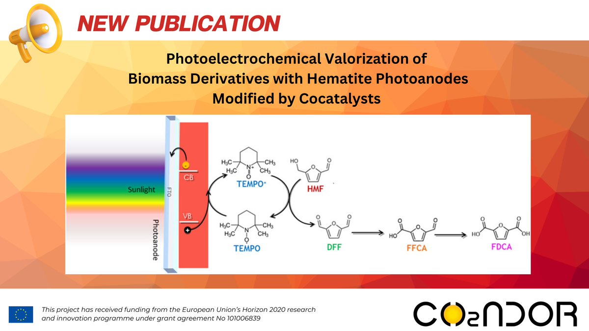 CONDOR_EU's tweet photo. ➡️Check out our recent #publication in @SolarrRL on the #photoelectrochemical valorization of #biomass derivatives with #hematite #photoanodes modified by cocatalysts🔬
👏Congrats to the authors from @Ciamician_unibo & @UniFerrara for their great work!
🔎https://t.co/9ikJgigpVb https://t.co/UG9MQG4ZwU