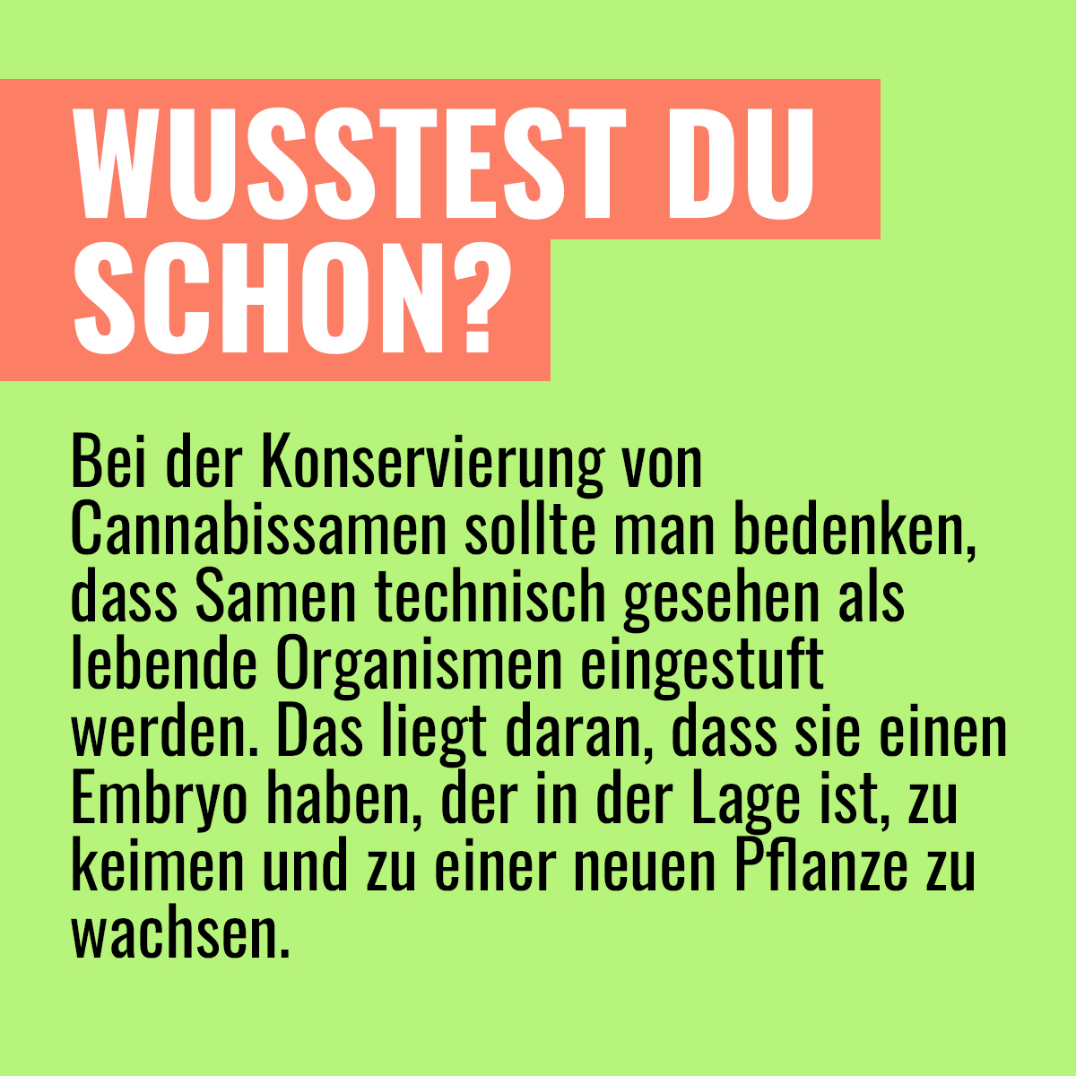 myweedo's tweet image. Richtig gelagerte Cannabis Samen können bis zu sechs Jahre halten und bleiben immer noch lebensfähig. Dabei ist es wichtig sie vor Hitze, Licht, Feuchtigkeit und Luft zu schützen🌱

#weedo #myweedo #weedmob #wissen #goodtoknow #schongewusst #CannabisCommunity
