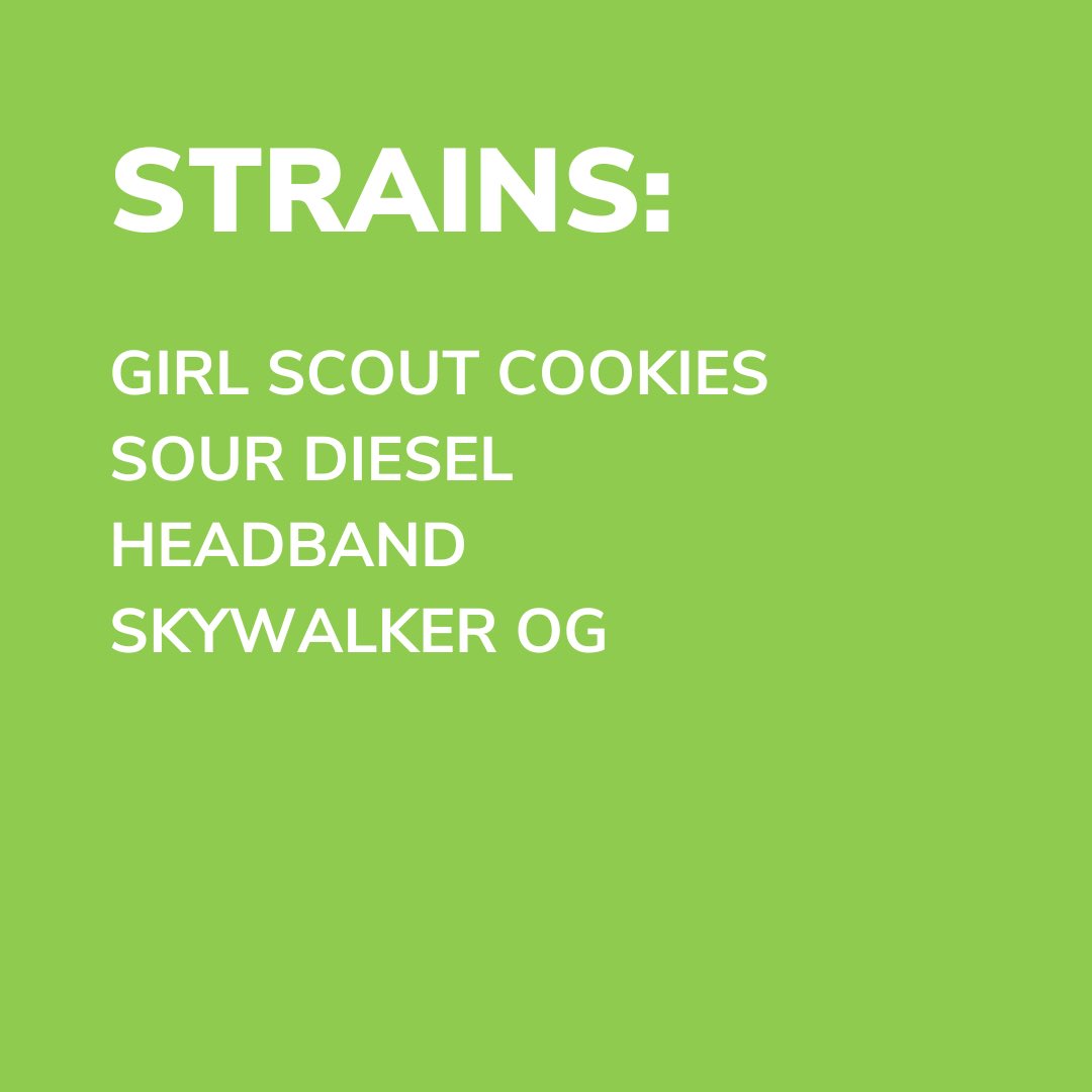 NJ Leaf (@njleaf) on Twitter photo 