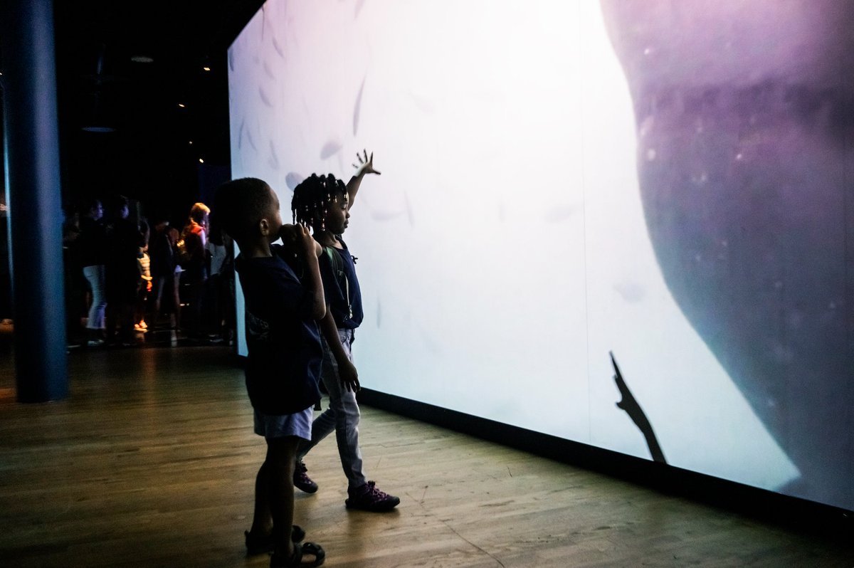 Noel Pointer Fdn tweet media