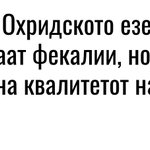 Photo by Неурон (@poliedar)