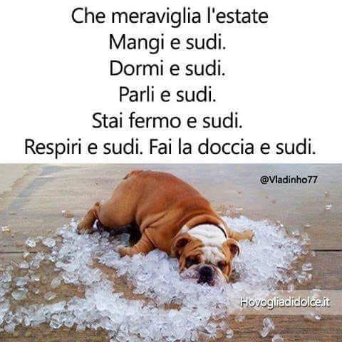 ROSS54PLL's tweet photo. ve la ricordate questa? quest’anno anche peggio.. #scipione https://t.co/po5fvEAOn7