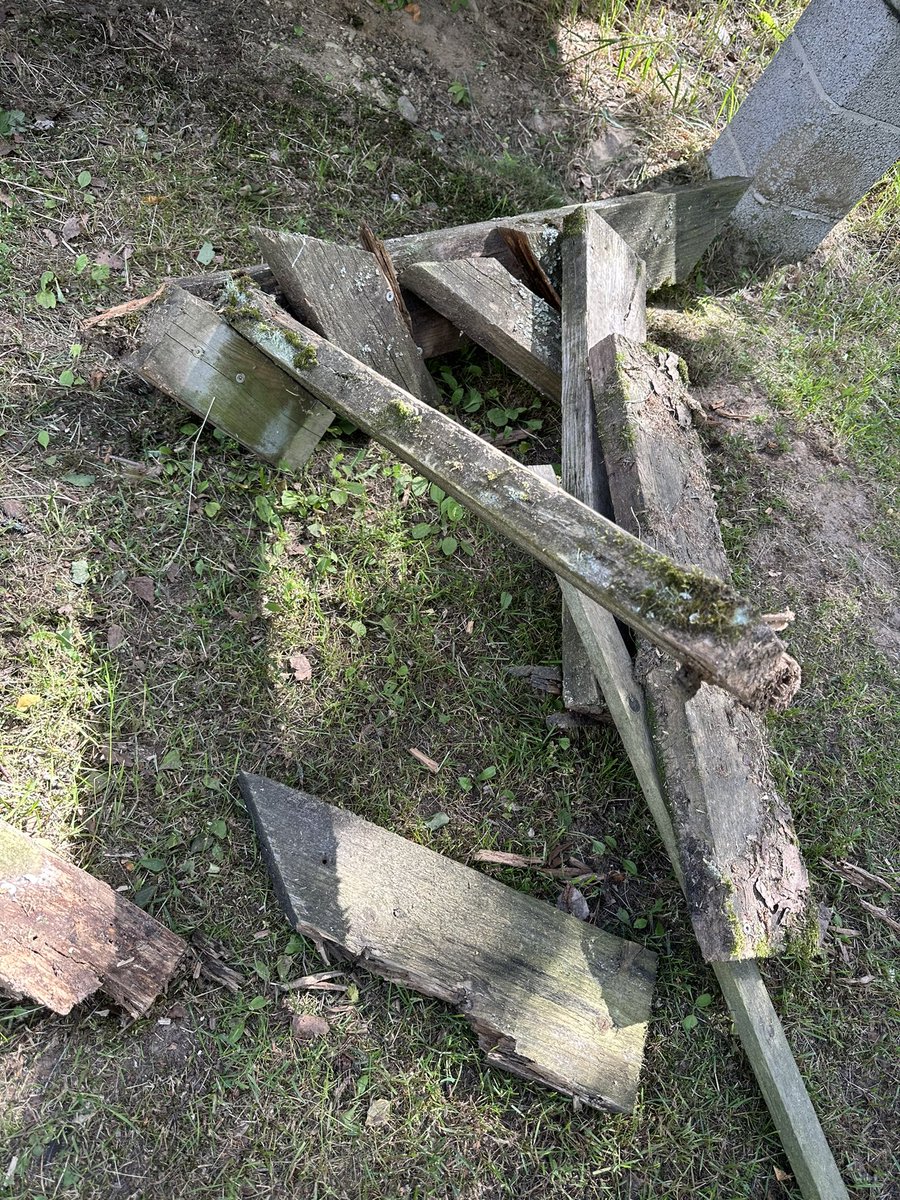 kulpanmaki's tweet photo. Pikakorjauksena vanhat kanalan raput sai kyytiä ja uudet ”väliaikaiset” patiksi vuodeksi tilalle. Joskus koko kuistin uusiminen kun ehtii ja samalla raput… #pientila #kanala https://t.co/TK3tdETQNG