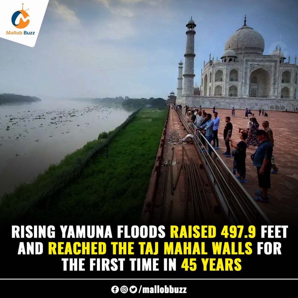 mallobmedia's tweet photo. Despite concerns about other monuments, officials from the Archaeological Survey of India stated that no significant damage had occurred

#yamunaFloods #Tajmahal #India #Floods2023 #himachalpradesh   
#mallob #mallobbuzz #mallobcompany #News #LatestUpdates https://t.co/a88PuXKMSg