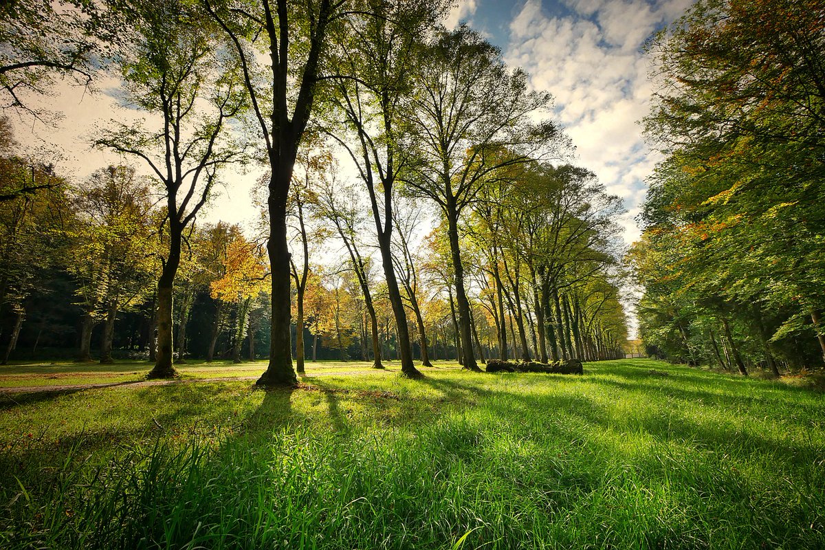 New article in @PaN_BES - Perceptions, preferences and barriers: A qualitative study of greenspace and under-representation in Leeds, UK - by @carolinefmward @JackHHatfield @ProfKEPickett @Robert_Costanza @ida_kub & others Read here ➡️tinyurl.com/32dv5dem @LeverhulmeTrust