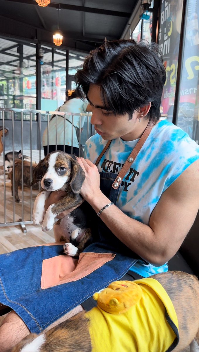 dunromch's tweet image. กลับบ้านกับพี่มั้ยจ้ะ 🐶🐶 #dunromch