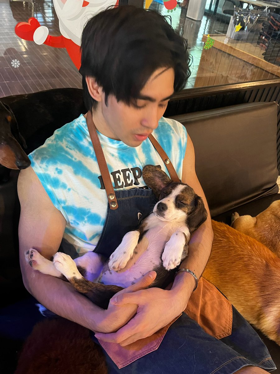 dunromch's tweet image. กลับบ้านกับพี่มั้ยจ้ะ 🐶🐶 #dunromch