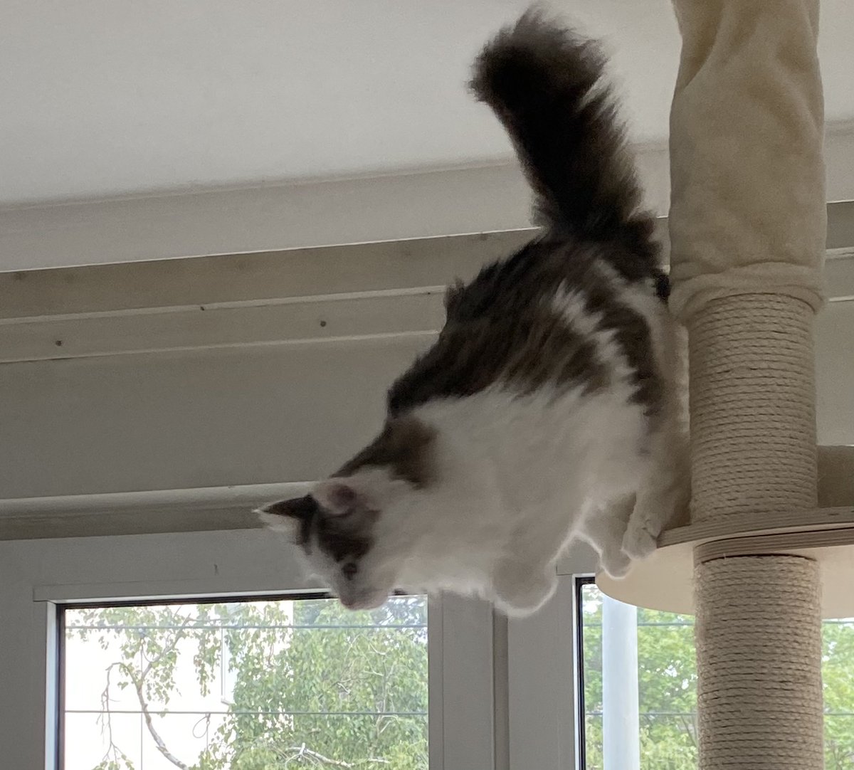 Sie ist CEO of über meinen Laptop rüberlatschen