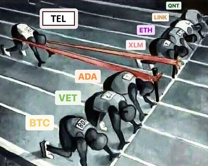 TelcoinFan77's tweet photo. RT if you are ready for #Telcoin $TEL 🏃‍♂️ run ! https://t.co/JRTDGmCJ5h