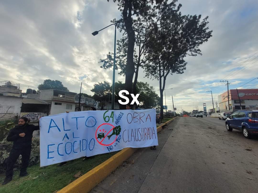 Llegan personas a parar la tala de árboles en Lázaro cárdenas ,piden apoyo de ciudadanos a que acudan apoyar en esto momentos. #Xalapa #veracruz
