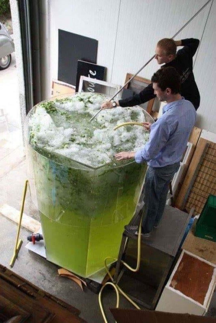 “un mojito y nos vamos”

el mojito: