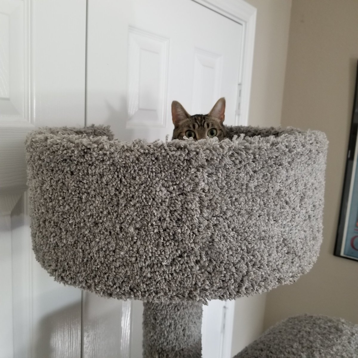 Beth Smith, CT tweet media