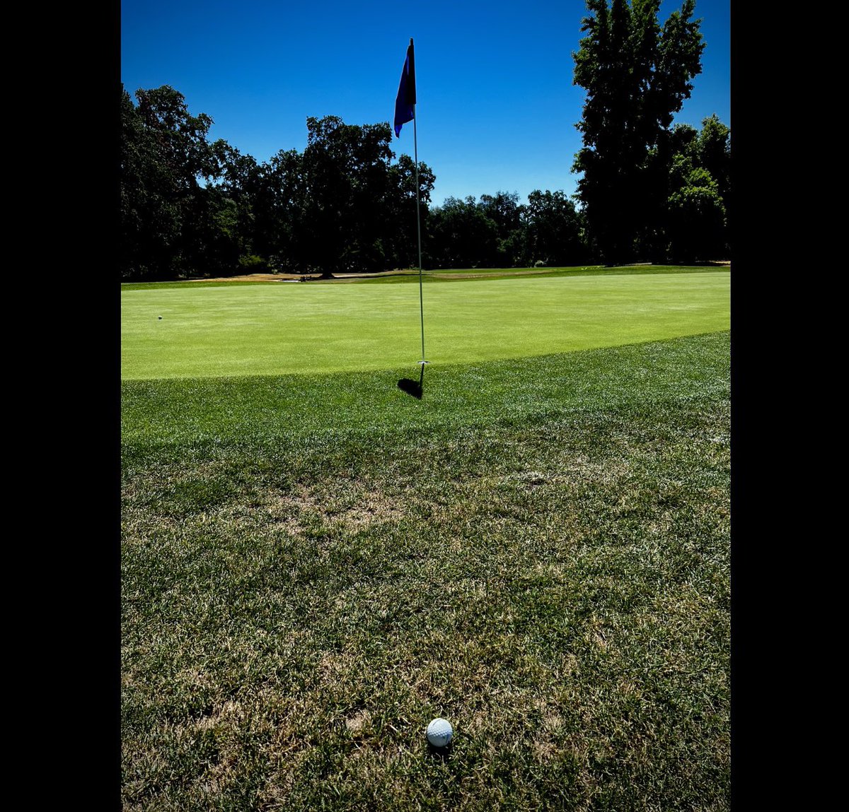 Hutch🏌️‍♂️📉 on Twitter "It’s surprised me how many casual golfers don