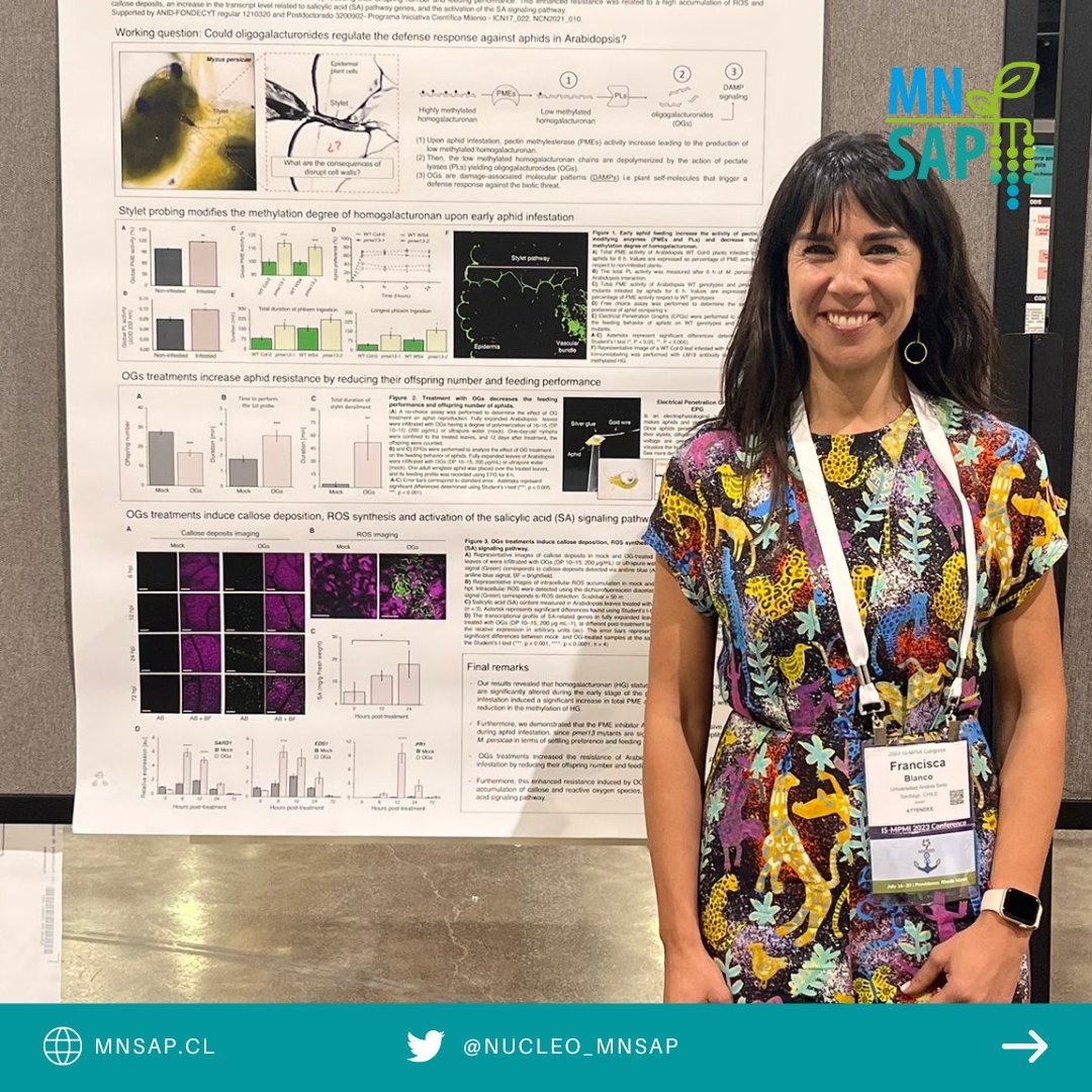 🌱Destacamos la participación y representación de nuestro Núcleo MN-SAP en el <a href="/ISMPMI/">IS-MPMI</a>  #2023ISMPMI que se está realiza entre el 16 y 20 de julio en Rhode Island, USA 🇺🇸. En este importante encuentro científico, participan:  María Francisca Blanco, Ariel Herrera y Diego Zavala👏.