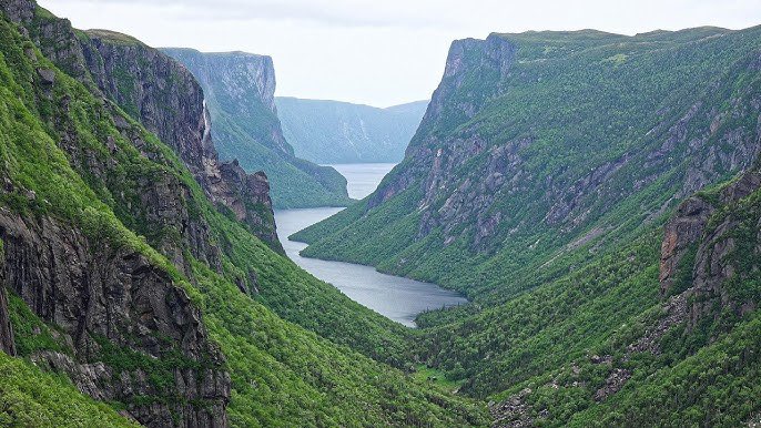 The Street2Peak team is now enroute to Gros Morne National Park Newfoundland and Labrador for a 10 day expedition. Months of training will see 15 youth from East Van on a very remote section of our country. Grateful for the opportunity to help facilitate this life changing event.