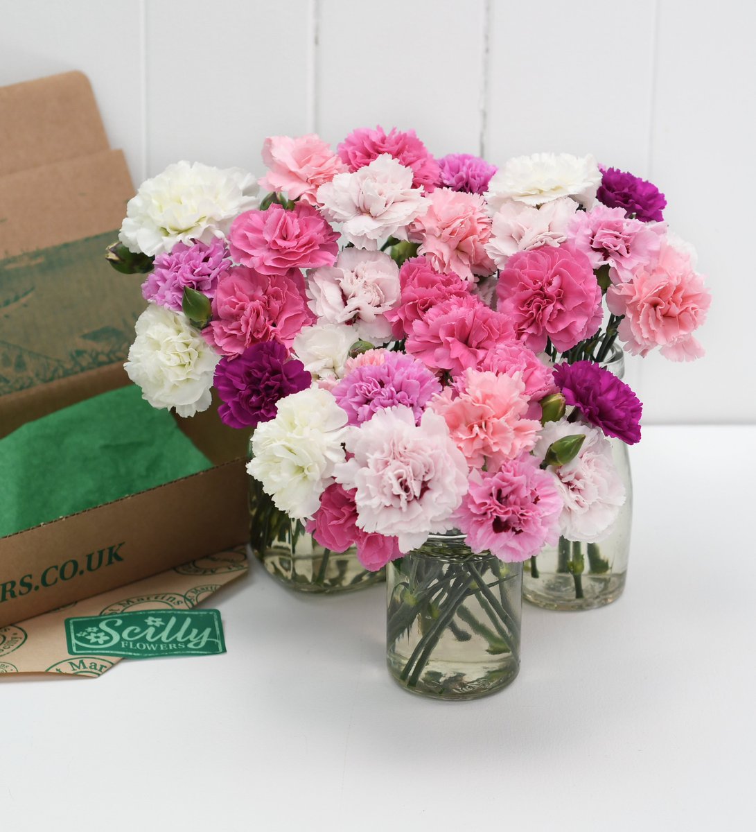 At the moment we have a lot of good quality, shorter length flowers. We are offering 40 cute mini jam jar pinks for the same price as 30 regular length.
scillyflowers.co.uk/flowers-by-pos…

#carnationflowers #islesofscillyflowers #flowersmakemehappy #englishflowers