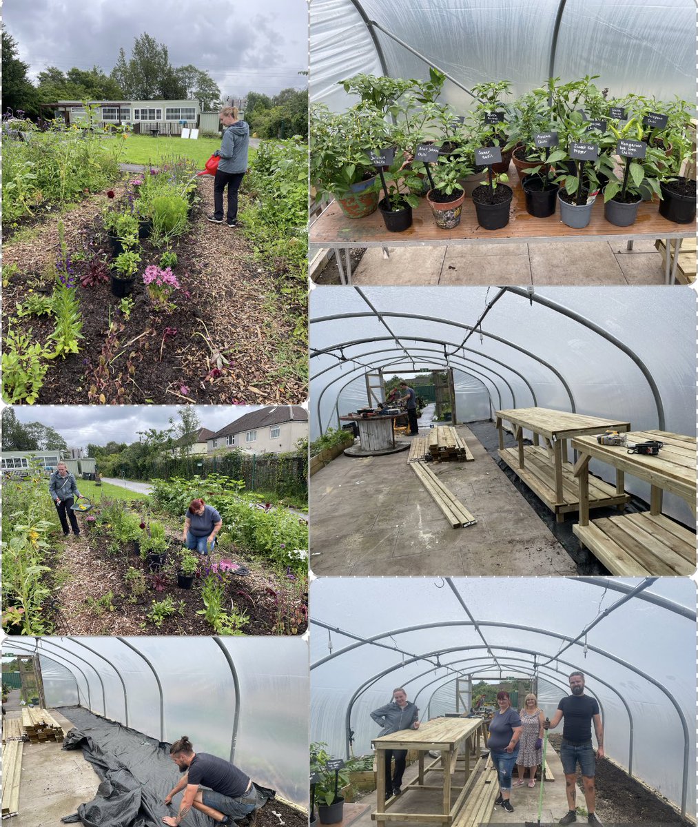 Northern_LilyGM's tweet photo. It’s all happening at #GROWE 💚
Our polytunnels are having a makeover 💫
The many chillis have been moved back in, labelled and fed 🌶️
The cut flower garden is going strong thanks to Jess and Tracey 🌻💐
@StirToAction @OldhamCouncil @LankellyChase @SupportSawn @Oldham_Hour https://t.co/miTdDb8ZGj