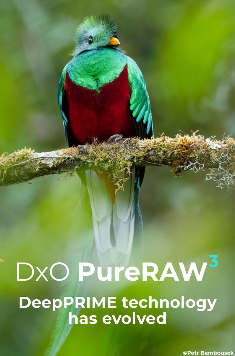 DxOLabs's tweet image. The new DeepPRIME XD is vastly more powerful than its predecessor thanks to a massively expanded neural network.
More than 2.5 additional stops of ISO performance
Recovery of unseen levels of detail
More accurate color at high ISOs
Smoother bokeh

➡︎ dxo.com/dxo-pureraw/