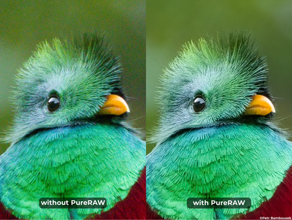 DxOLabs's tweet image. The new DeepPRIME XD is vastly more powerful than its predecessor thanks to a massively expanded neural network.
More than 2.5 additional stops of ISO performance
Recovery of unseen levels of detail
More accurate color at high ISOs
Smoother bokeh

➡︎ dxo.com/dxo-pureraw/