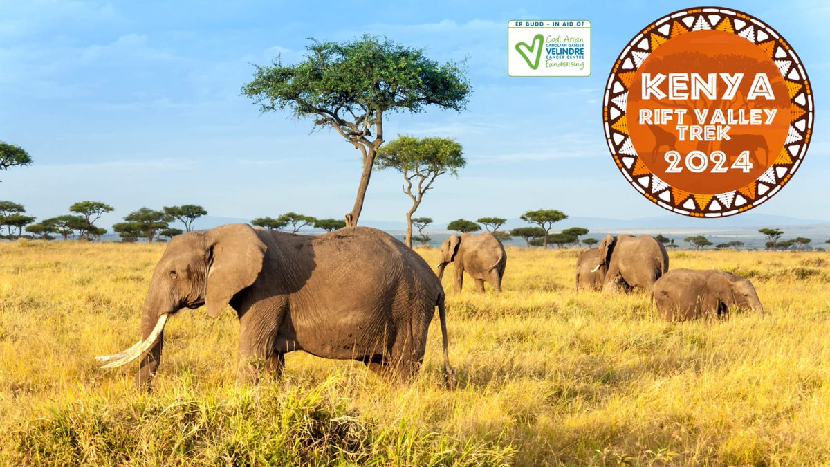 WelshTwinkletoe's tweet photo. Why not sign up to one of these lovely events in Aid of Velindre Cancer Centre... do something positive today ✨️ an achievable total of £50.00 to raise. We are walking 2 mountains in Kenya next year every, penny raised will go directly to the Specialist Nurses at Velindre 💚💙 https://t.co/qtAf8NlvOu