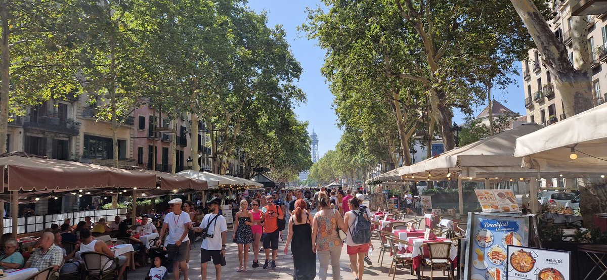 Steve Mule tweet media