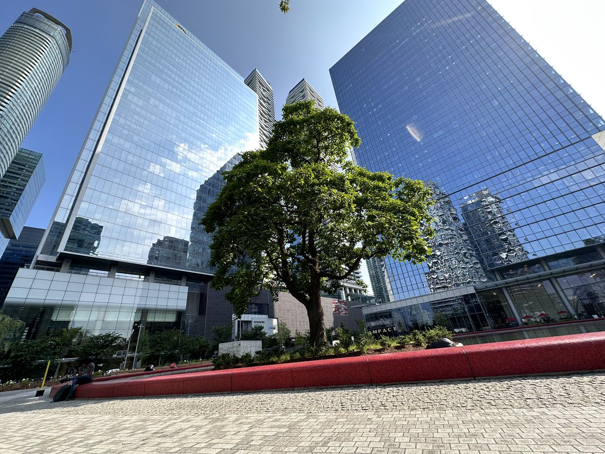 Sara Gardner tweet media