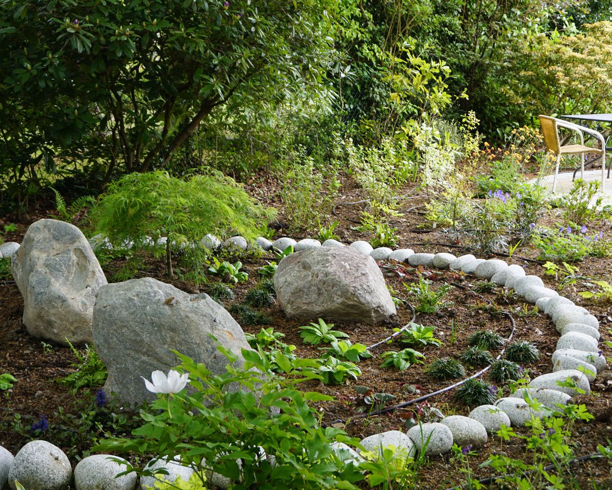 Want to add boulders to your #backyard landscape? These ideas can provide the inspiration you need. #outdoors  cpix.me/a/173848432