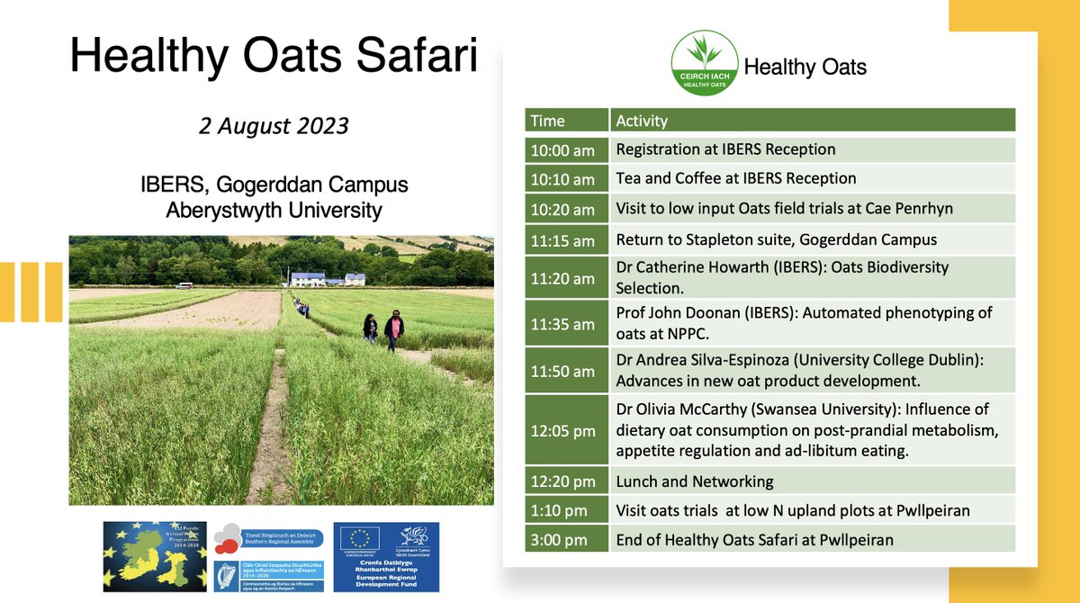 Healthy Oats (@oatshealthy) on Twitter photo <a href="/OatsHealthy/">Healthy Oats</a> is organising the annual Healthy Oats Safari at <a href="/ibers_aber/">IBERS - Aber</a> on 2 Aug 2023. Book a place by contacting John Davies at jod28@aber.ac.uk
<a href="/HowarthOats/">Catherine</a> <a href="/doohancropslab/">Doohancropslab</a> <a href="/Jhd2doonan/">john doonan</a> <a href="/SouthernAssembl/">Southern Regional Assembly</a> @IrelandWales #EUIrelandWales #EUinmyregion <a href="/Andrea_sies/">Andrea S.</a> <a href="/bracken_rich/">Richard Bracken</a> <a href="/OatsHealthy/">Healthy Oats</a> is organising the annual Healthy Oats Safari at <a href="/ibers_aber/">IBERS - Aber</a> on 2 Aug 2023. Book a place by contacting John Davies at jod28@aber.ac.uk
<a href="/HowarthOats/">Catherine</a> <a href="/doohancropslab/">Doohancropslab</a> <a href="/Jhd2doonan/">john doonan</a> <a href="/SouthernAssembl/">Southern Regional Assembly</a> @IrelandWales #EUIrelandWales #EUinmyregion <a href="/Andrea_sies/">Andrea S.</a> <a href="/bracken_rich/">Richard Bracken</a>