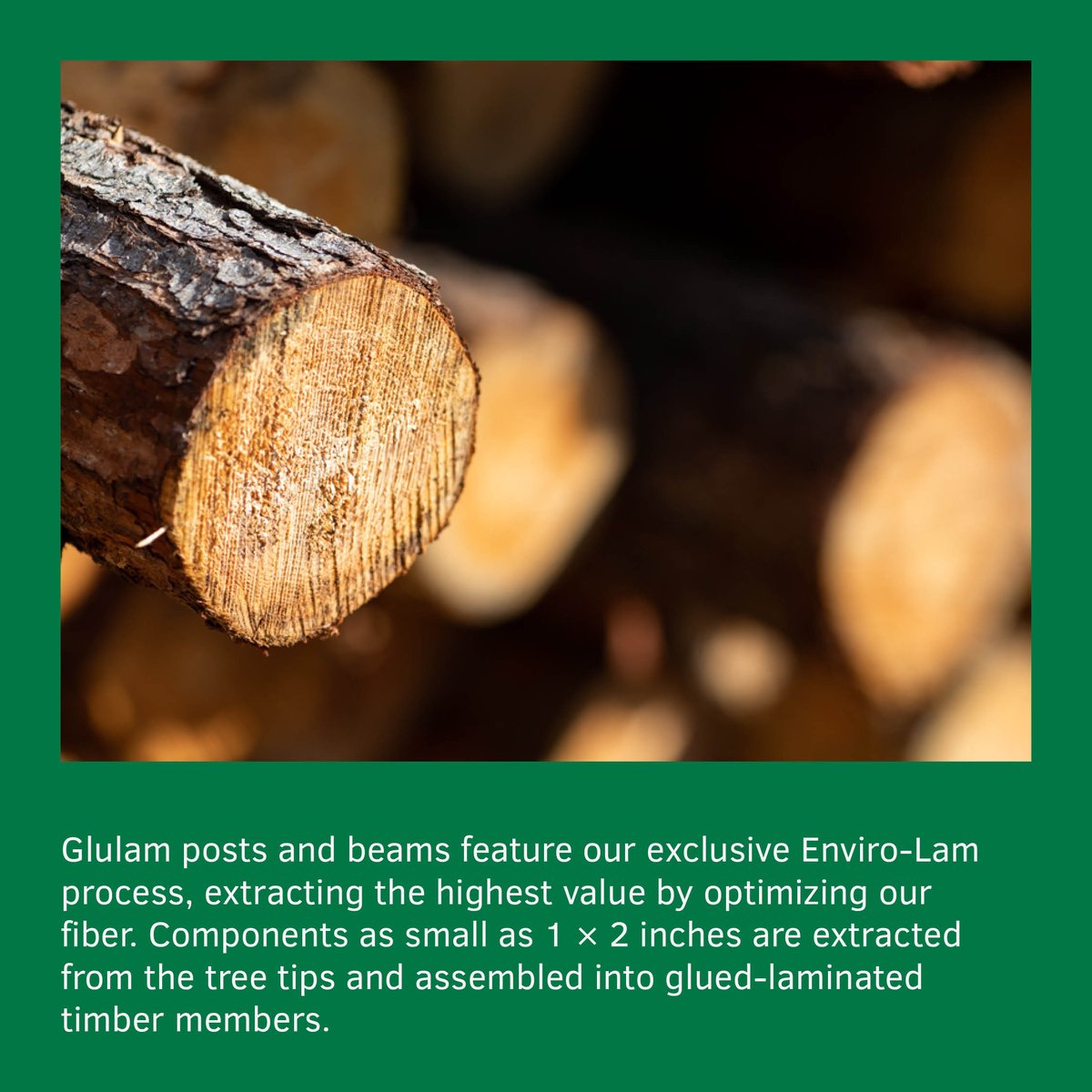 NordicStructure's tweet image. The environment column of the week:🌲Whole tree used?🪵