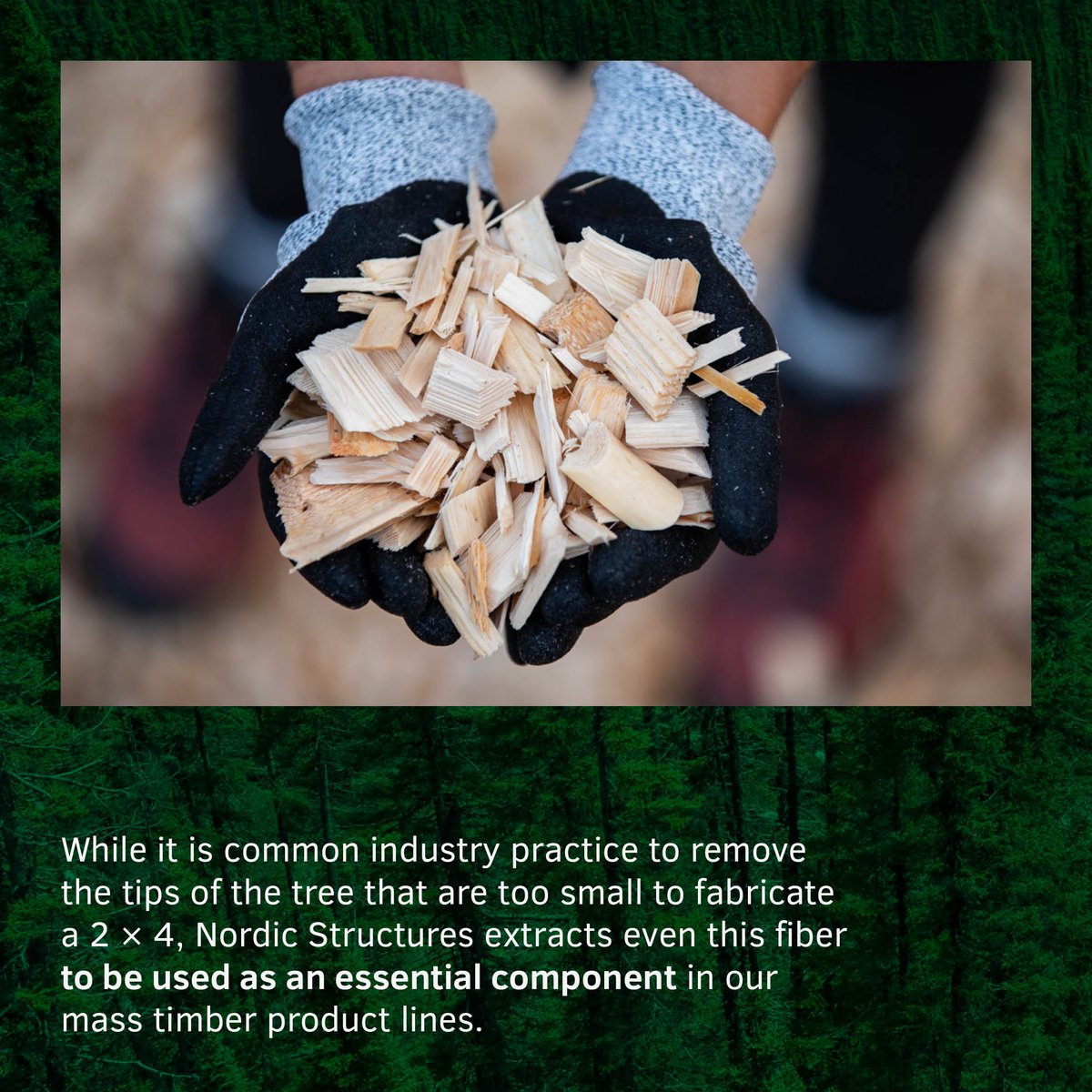 NordicStructure's tweet image. The environment column of the week:🌲Whole tree used?🪵