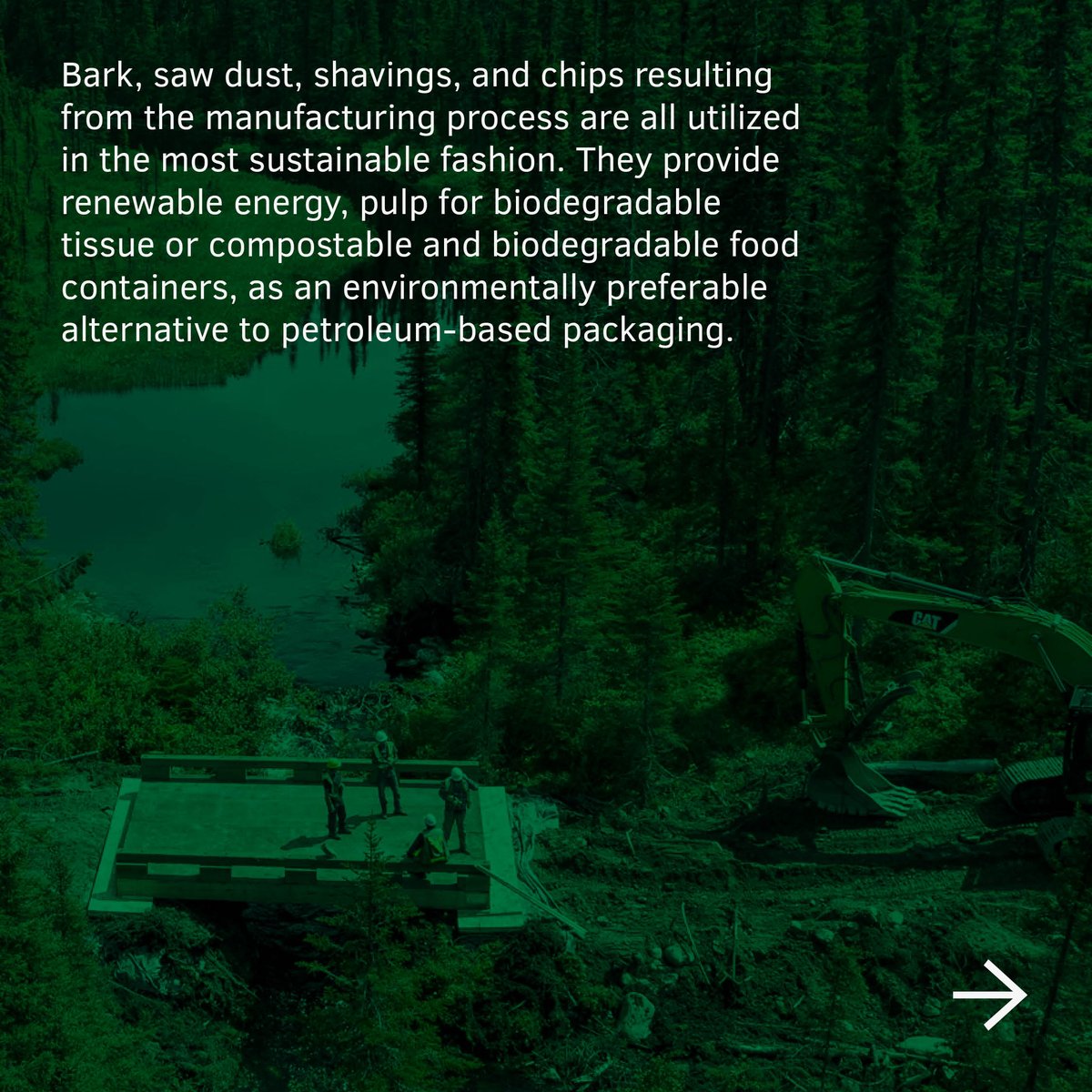 NordicStructure's tweet image. The environment column of the week:🌲Whole tree used?🪵