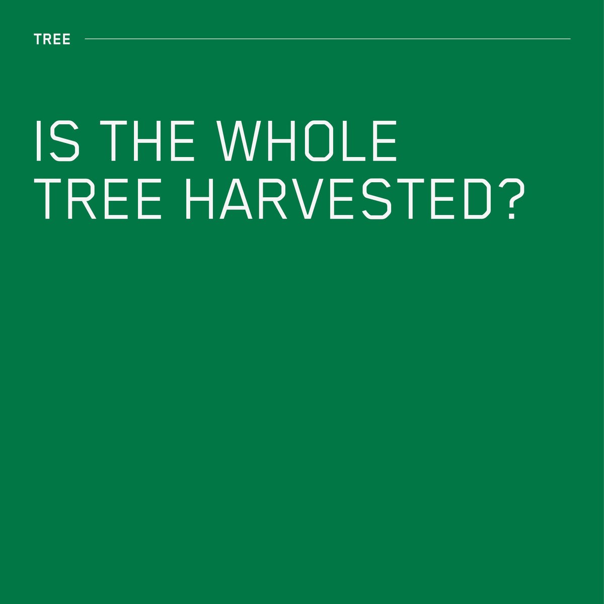 NordicStructure's tweet image. The environment column of the week:🌲Whole tree used?🪵