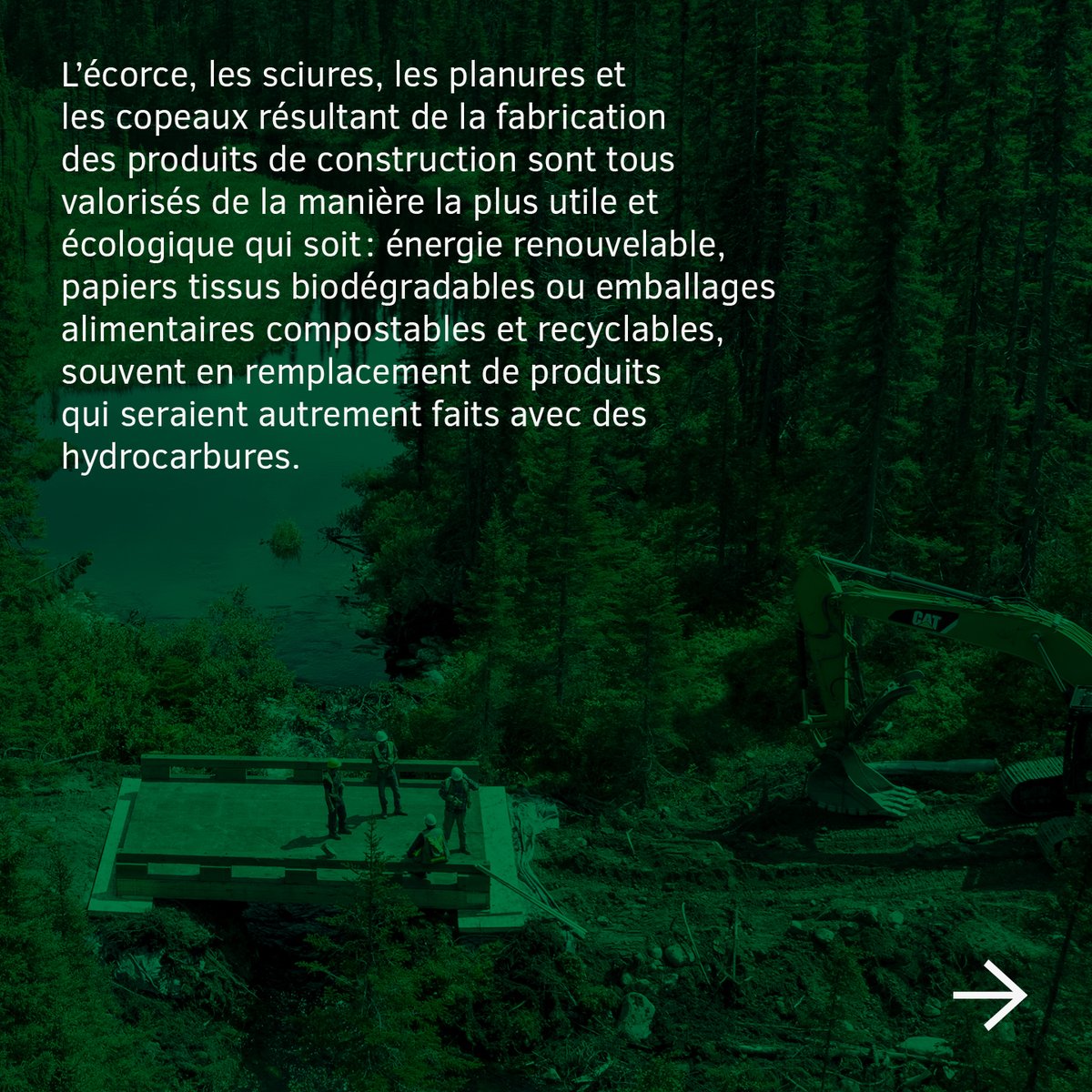 NordicStructure's tweet image. La capsule environnement de la semaine : 🌲Arbre récolté 🪵