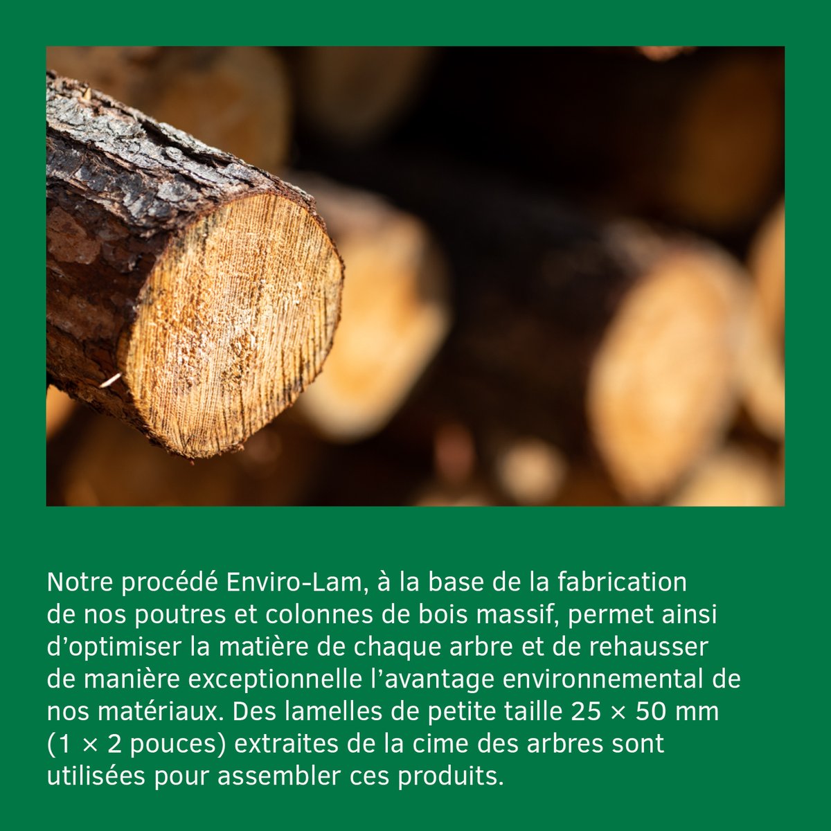 NordicStructure's tweet image. La capsule environnement de la semaine : 🌲Arbre récolté 🪵
