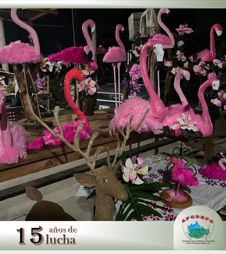 afodepoac's tweet photo. Sin ningún tipo de apoyo oficial nuestras mujeres de Santiaguito Cacaotepec, Etla, se capacitaron y presentaron sus manualidades para eventos especiales y navidad, Agradecemos a nuestras compañeras capacitadoras Amanda Ruiz Legaspi y Berta Bernal Garcia por su entrega y pasión para enseñar. 

#Afodepocapacitación 

@Antonio77186389 @animed06 @gdehoyoswalther @avendanoamalia4 @MargRojas93