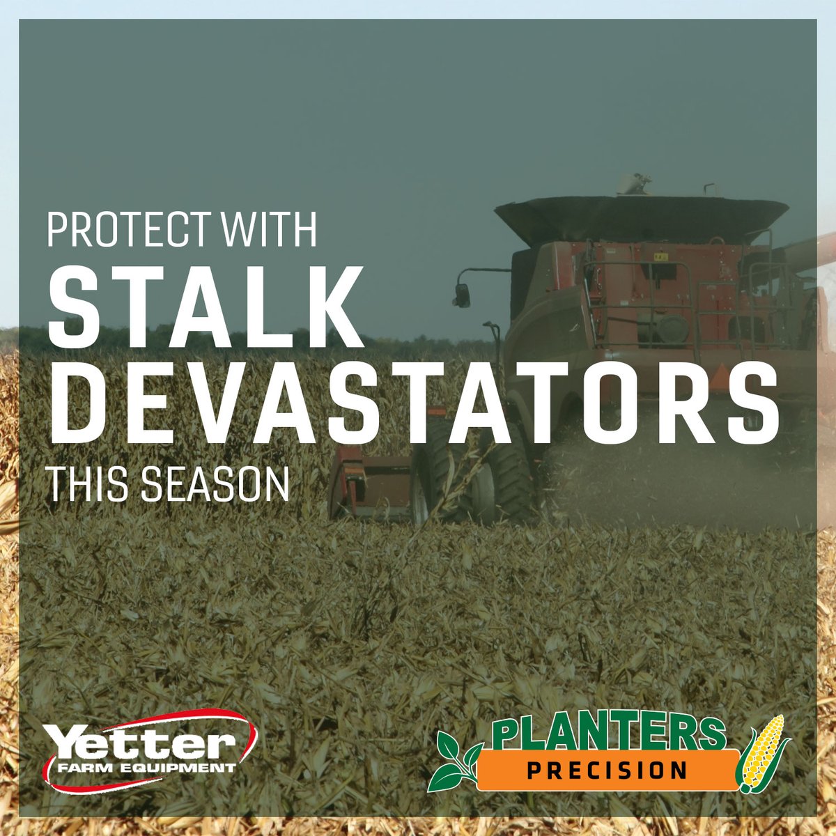 Equipment and field benefit with stalk devastators. Damage is avoided on tires and tracks when stalks are pushed over crushed. You also take the first step in managing corn your tillage operation by starting microbial breakdown as stalks come into contact with the soil. 🌾