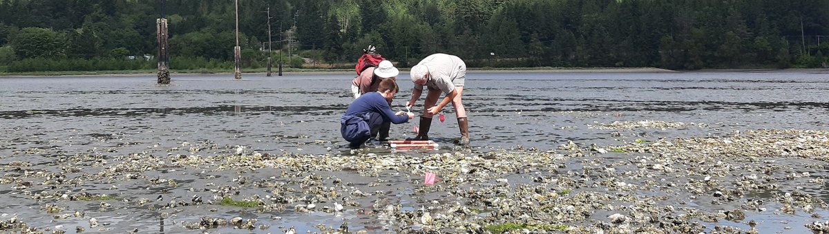 Northwest Straits tweet media