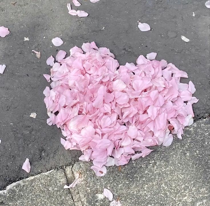 dolliefae's tweet photo. Petals hearts ♡ https://t.co/NAkAzE1Jgv
