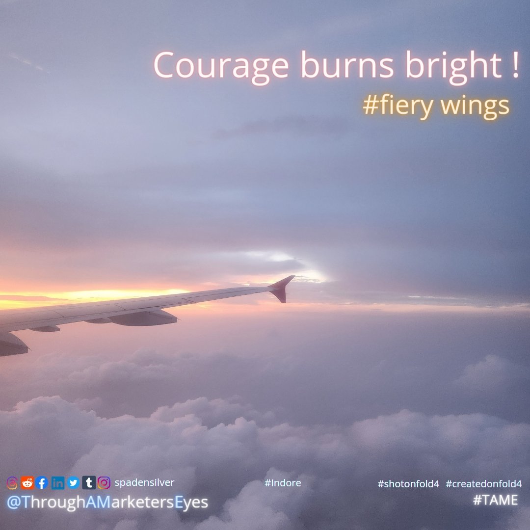 spadensilver's tweet image. Courage burns bright on fiery wings #spadensilver #tame #throughmyeyes #shotonfold4 #createdonfold4 #travellerlife