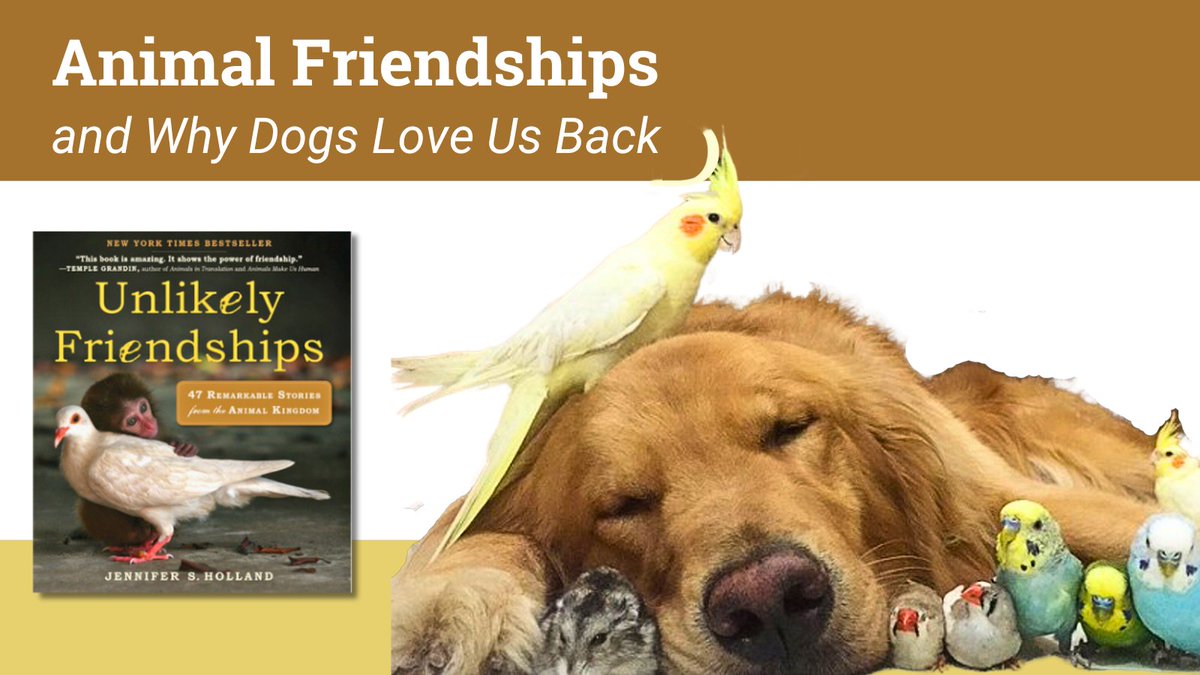 scotlib's tweet photo. Don't miss this fascinating virtual program on 7/20 at 7pm! Jennifer Holland will share some of her favorite  stories from her best-selling Unlikely Friendships series, plus insights on canine evolution and intelligence from her upcoming book Dog Smart!  https://t.co/bZGI4va1cX https://t.co/GUR5ETijLn