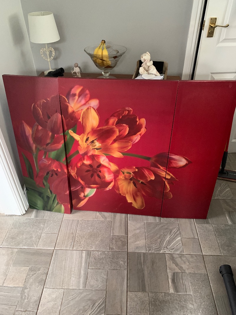 LMFreegle's tweet photo. OFFER: Red canvas tulip print tri picture (Morecambe LA4) https://t.co/v4Y2pIKGit https://t.co/odSr0qWWa2