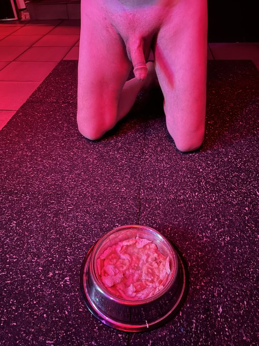 Good boy eating special food Mistress has prepared for him. https://t.co/6DTVuCfauG