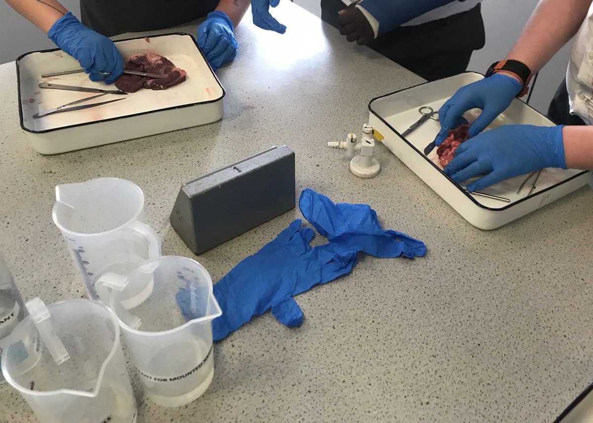 SciStm's tweet photo. Last Science Club of the year 🥳

Well done to everyone who got involved this year, we can’t wait to see you back in Sept! 

A huge thank you to Dr Everest, Dr Willis, Miss Charles, Miss Martin and Mrs Sowden for making Science Club such a success 🏆👏 https://t.co/dEIs3N6uNH