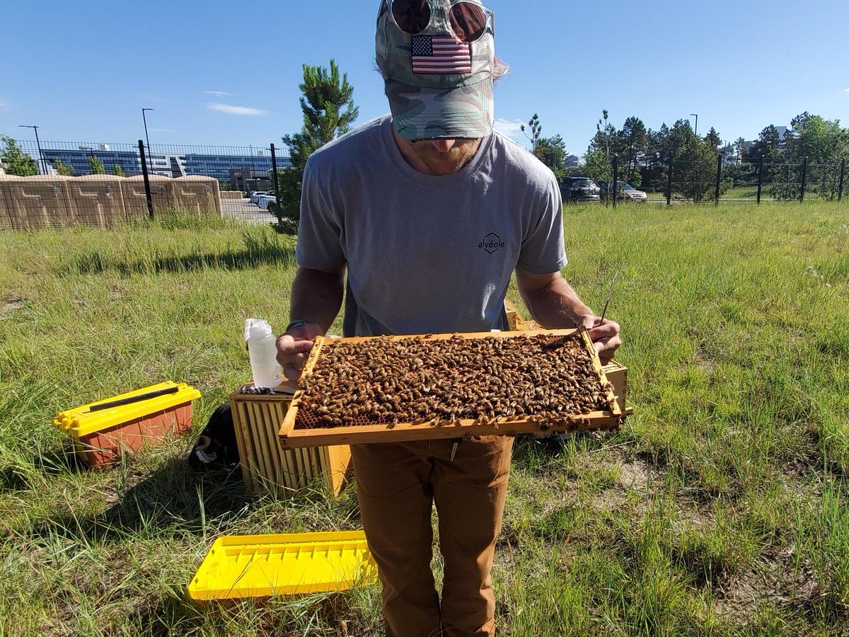Would you bee-lieve it? In partnership with <a href="/alveolebuzz/">Alvéole</a>, a bee keeping company, we now have our very own hardworking honeybee hive to help pollinate our neighborhood. We are committed to supporting pollinators and pollinator-supporting ecosystems!