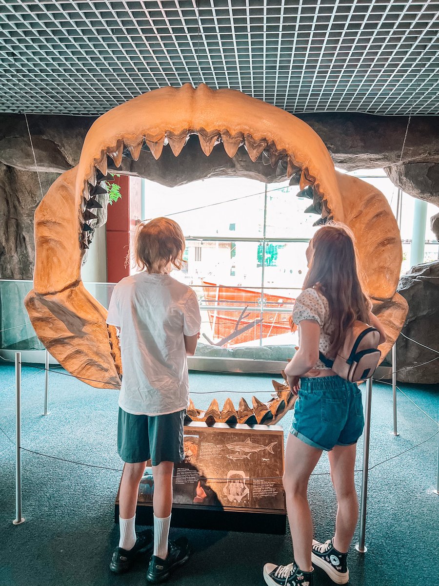 Denise Graber, M.Ed. tweet media