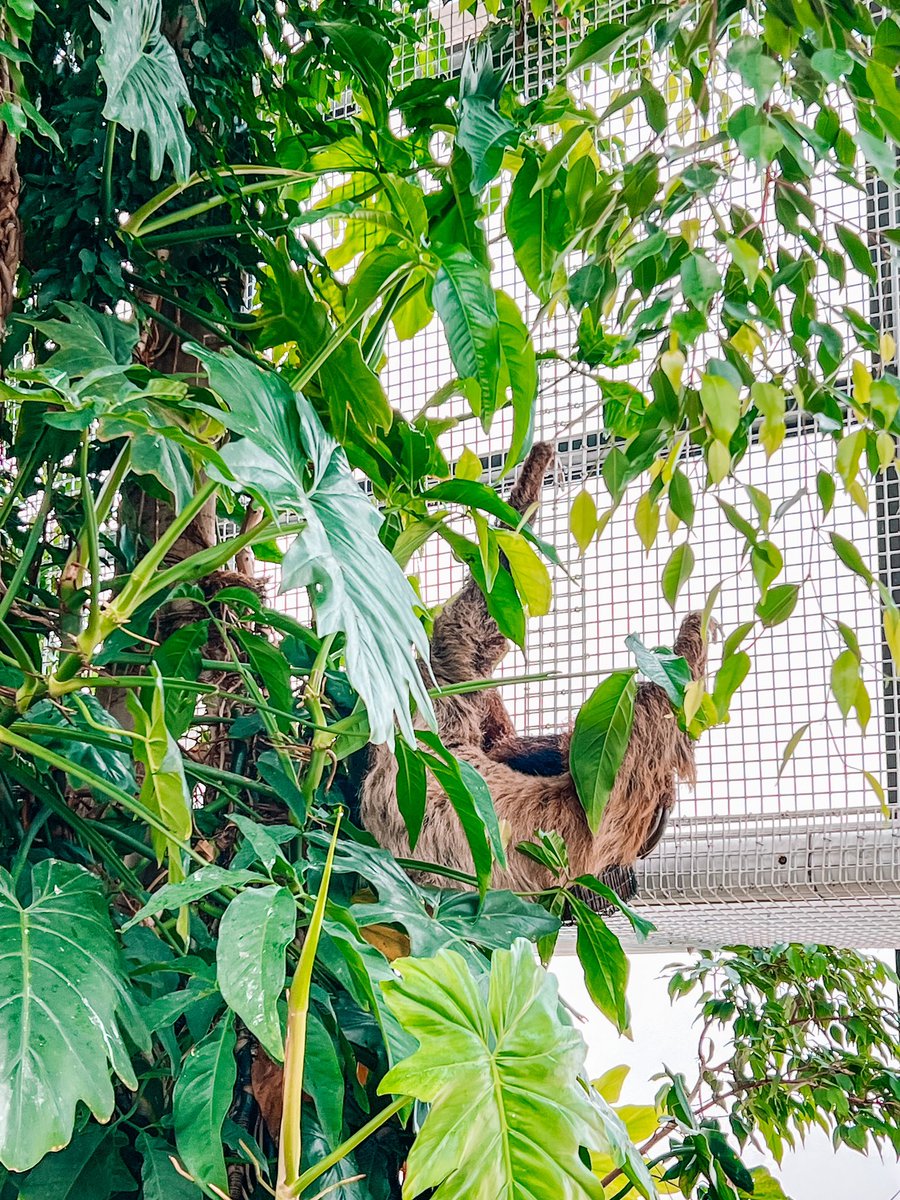 Denise Graber, M.Ed. tweet media