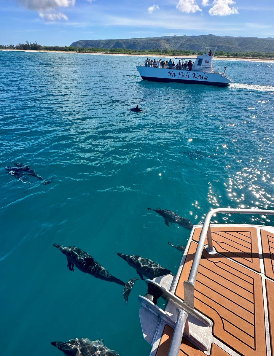MakanaCharters's tweet photo. Amazing morning visiting our ocean friends🐬
#dolphins # #islandlife  #Kauai  #Napalicoast #Kauaiisland #Kauaiboattour #Napaliboattour #Gohawaii #Kauaitravel #hawaii #Napaliboat #KauaiHawaii https://t.co/Oa6f6V48rv