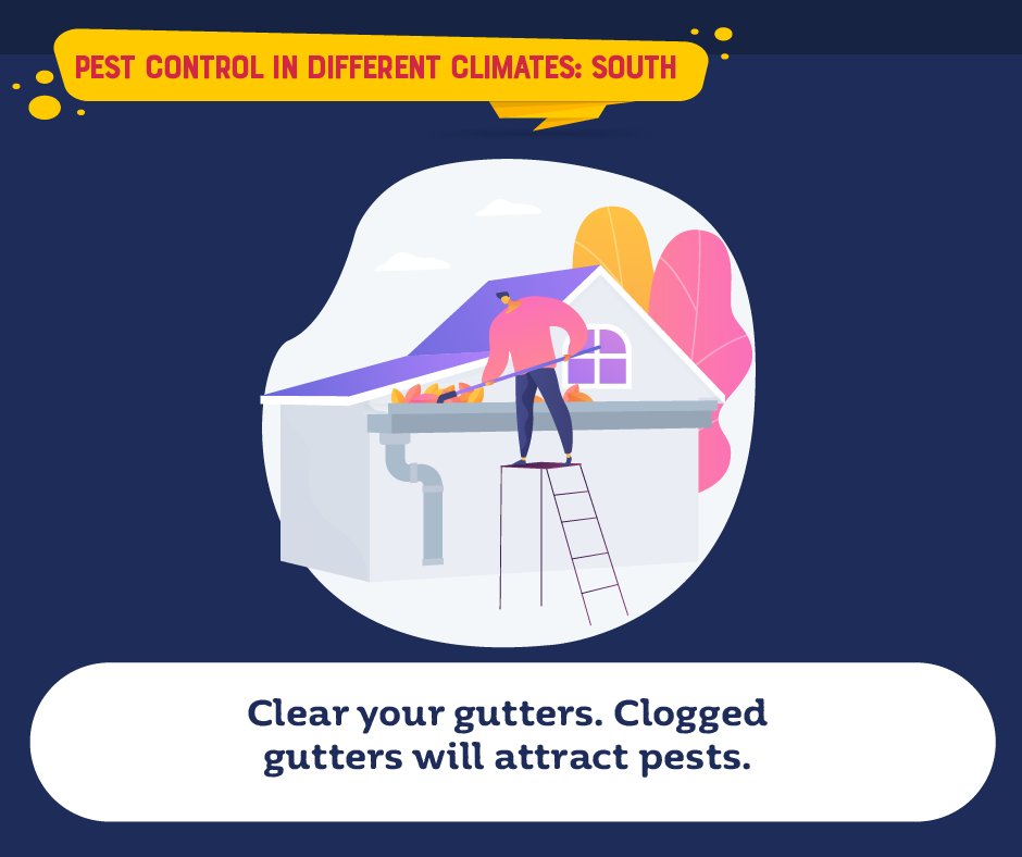 Clogged gutters provide a safe haven for many different pests, including bugs, insects, worms, and even snakes. Clean your gutters regularly to avoid attracting unwanted guests.