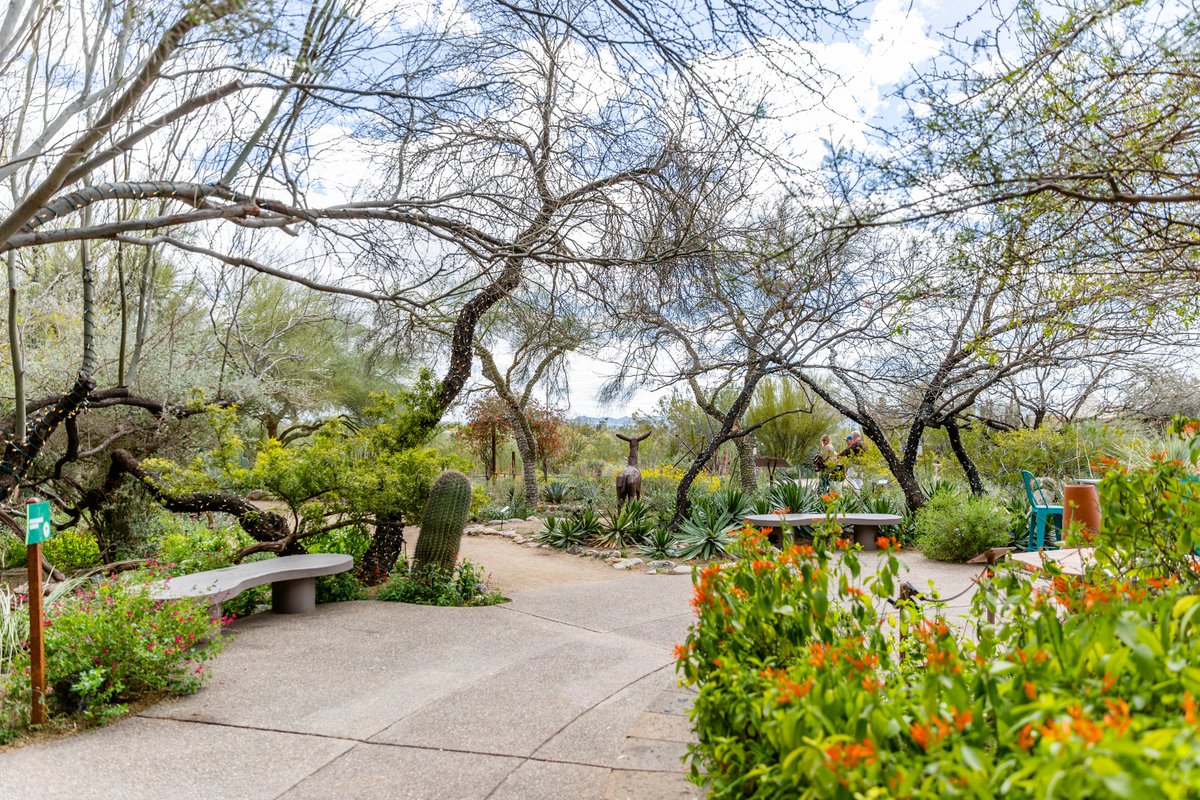 Tohono Chul has been nominated for Best Public Garden for Best of Tucson 2023! 🌵

✅Vote for us and the rest of your Tucson favorites at the link below!

→ bit.ly/3QkbiAb